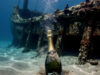 Shipwrecked French Champagne – Revealing tastes from the past Shipwreck chanpagen bottle