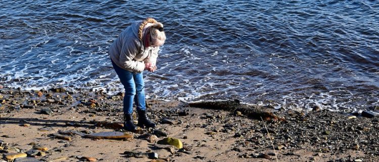 Beachcombing belongs to all ages