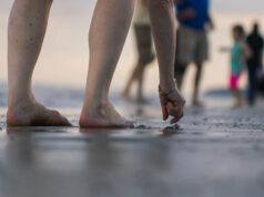 Beachcomber for a day Picking up pebbles is a beachcombers delight
