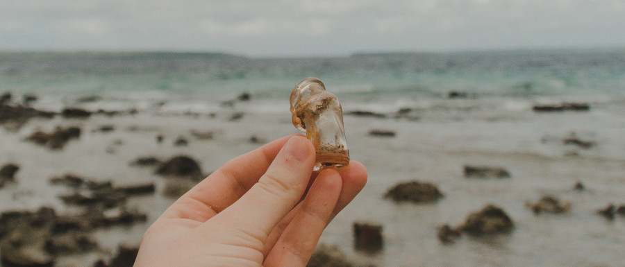 beachcombing treassures