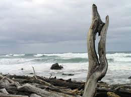 Driftwood figure collected at a beach