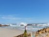 Fryer’s Cove wines… sipping the sea on the West Coast Fryers Cove Wines in Doringbaai