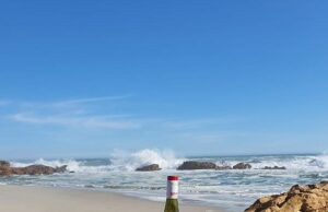 Fryer’s Cove wines… sipping the sea on the West Coast Fryers Cove Wines in Doringbaai