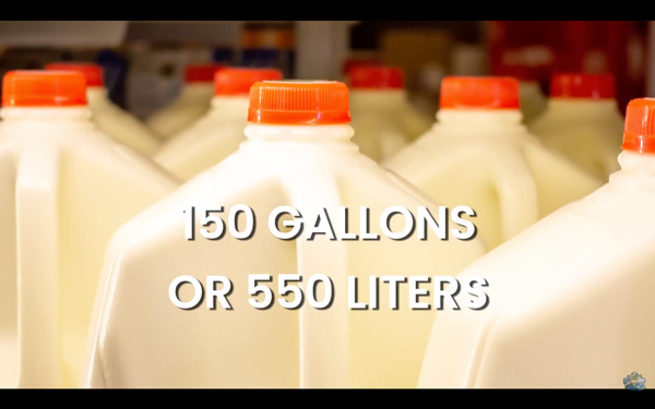 Text overlay "150 GALLONS OR 550 LITERS" over a background of multiple white milk jugs with orange caps, representing the daily milk intake of a whale calf.