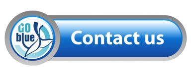 From Keywords to Conversations: How to Optimize Your Guesthouse for AI Assistants 4 Contact Marine Wildlife Magazine