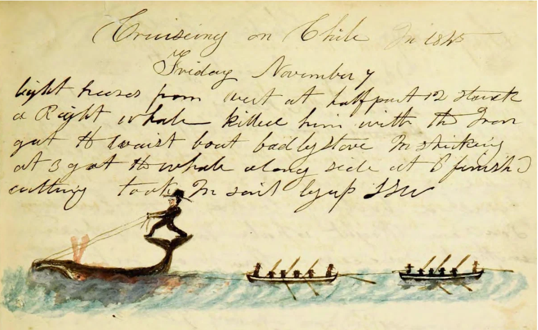 Whaling logbooks are filled with stories of adventure 2 The Nantucket Sleigh Ride pictured in the log of the ship Susan kept by Reuben Russell 1841–1846