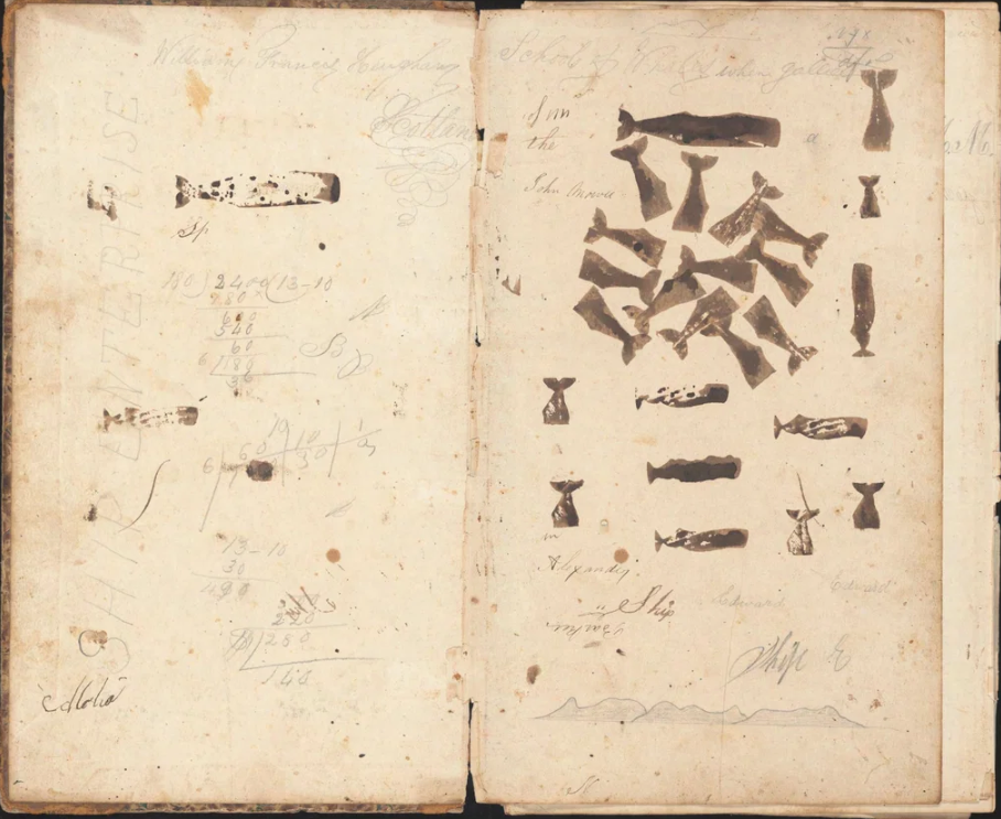 Whaling logbooks are filled with stories of adventure 7 Whale-stamps-in-the-opening-endpapers-of-the-log-of-the-ship-Alabama-kept-by-Barker-B.-Marshall-