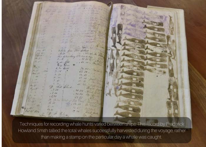 Whaling logbooks are filled with stories of adventure 8 Whaling logbook entrystarted with the day of the week and date. It includes the position of the vessel, the sail she was under, the wind speed and direction, the activities of the crew, and any whales seen or taken. The log keeper will then describe the weather, which usually includes the wind speed and location. Discover in the ship’s logbooks and you find clues about climate and history.