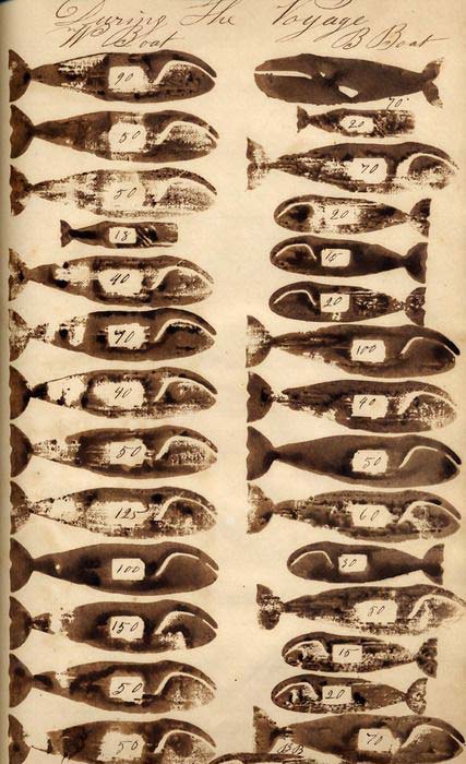 A page from a whaling logbook with the number of whales added in the white spaces