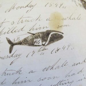 _with_a_stamp_in_a_whaling_logbook_with_the_number_referring_to_the_gallons_of_oil_from_this_whale_courtesy_Marthas_Vineyard_Museum